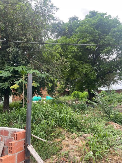 Casa de 3 alcobas en venta en Agualinda I, Los Patios, 864 m² · foto 4 de 10