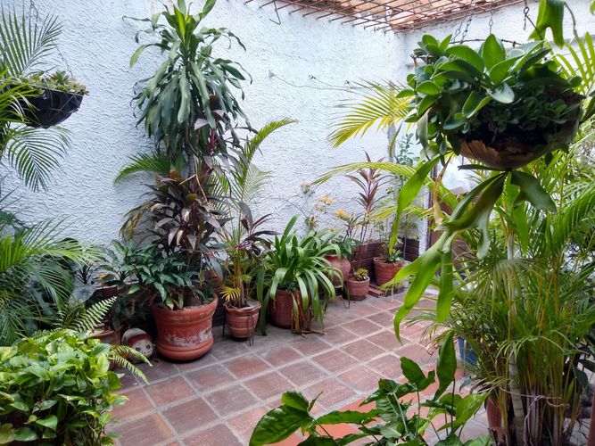 Casa de 5 alcobas en venta en La Ceiba, Cúcuta, 168 m² · foto 2 de 12