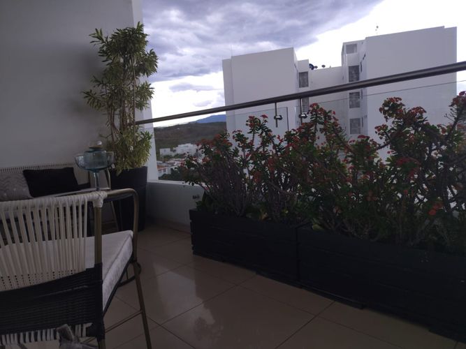 Apartamento de 4 alcobas en venta en La Floresta, Los Patios, 283 m² · foto 18 de 24