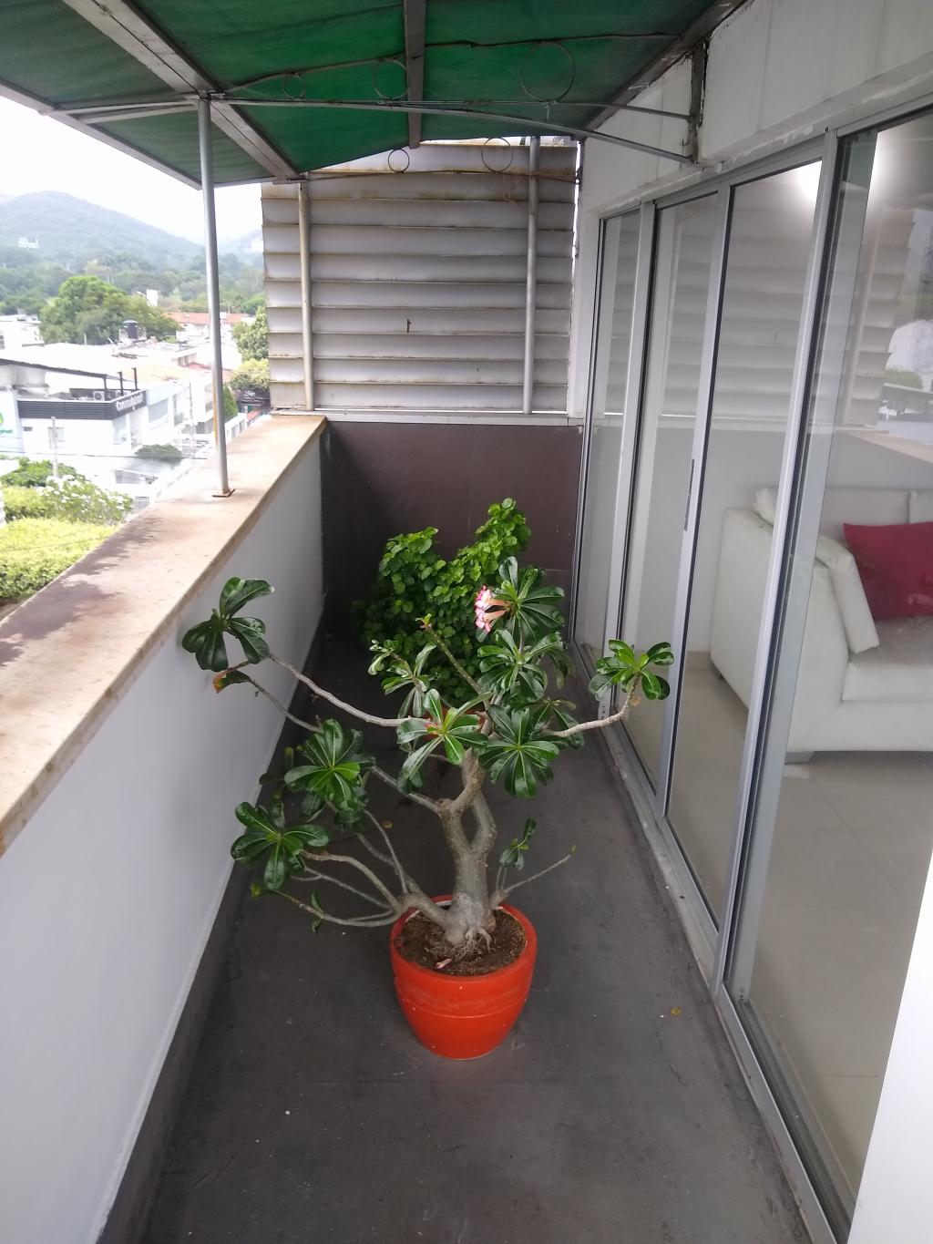 Apartamento en venta en Blanco, Cúcuta · foto 5 de 19