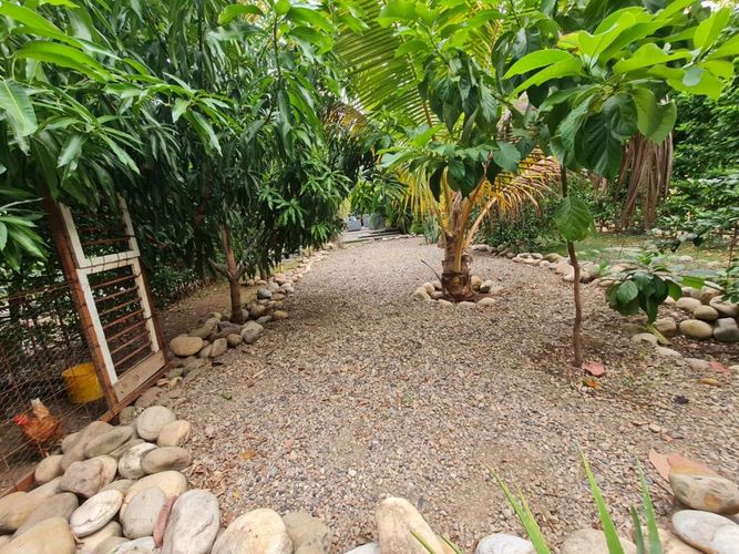 Casa de 4 alcobas en venta en Trapiches Ii, Villa del Rosario, 625 m² · foto 22 de 22
