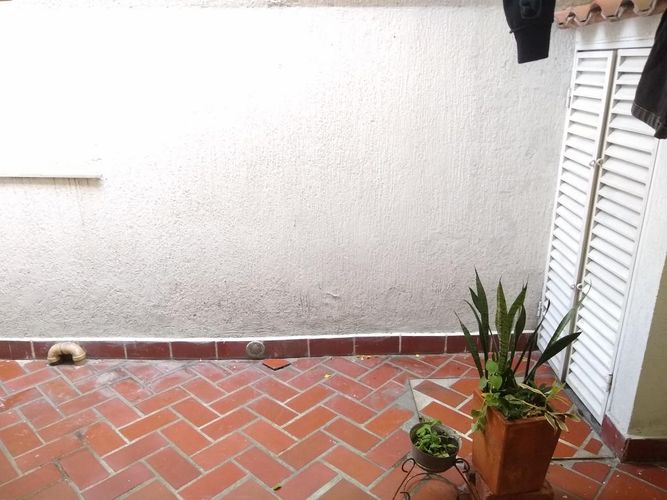 Casa en venta en Colsag, Cúcuta · foto 11 de 11
