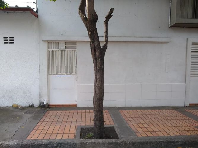 Edificio en venta en La Playa, Cúcuta, 713 m² · foto 6 de 8