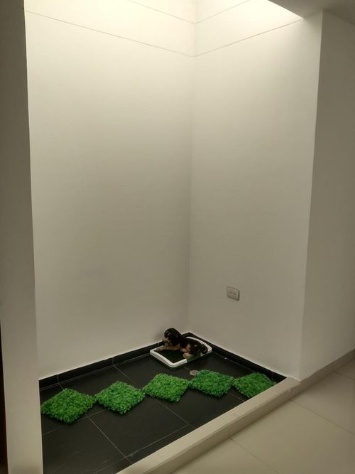 Casa de 4 alcobas en venta en Colinas De Vista Hermosa, Villa del Rosario, 145 m² · foto 21 de 24