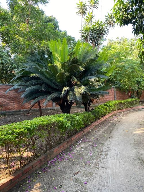 Casa de 4 alcobas en venta en Ub. La Floresta, Los Patios, 424 m² · foto 15 de 16