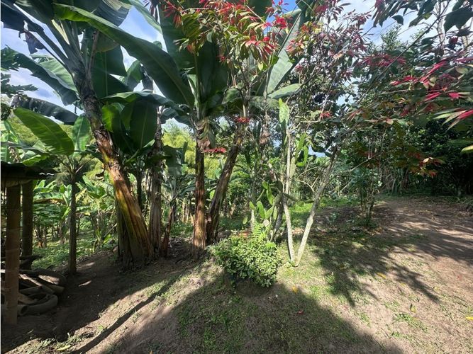 Finca en venta en Puerto Espejo, Armenia, 125 m² · foto 9 de 24