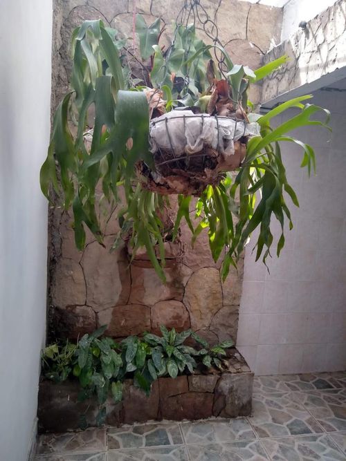 Casa de 6 alcobas en venta en Patios Centro, Los Patios, 105 m² · foto 11 de 24