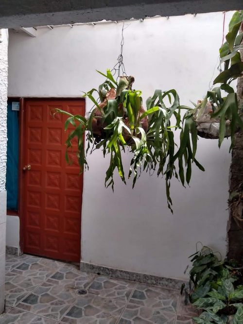 Casa de 6 alcobas en venta en Patios Centro, Los Patios, 105 m² · foto 12 de 24