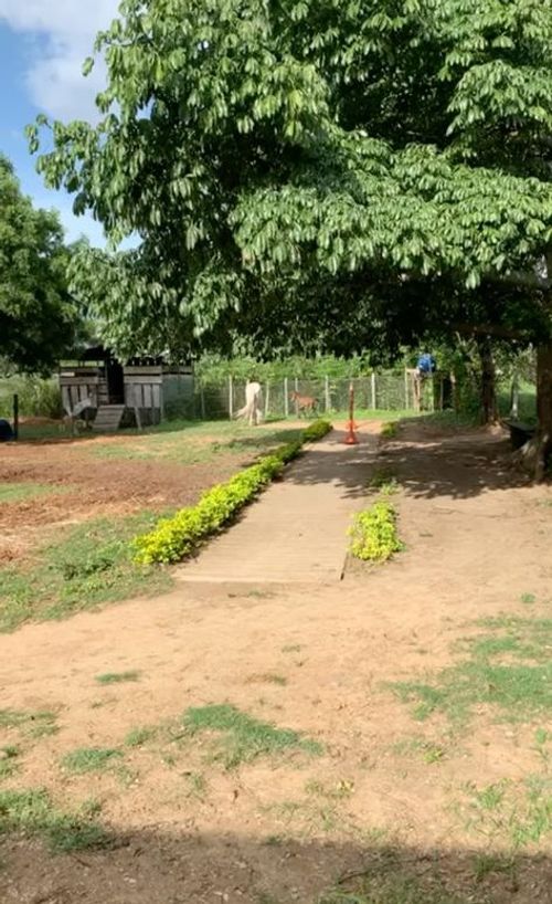 Finca en venta en Rural, Villa del Rosario, 240 m² · foto 2 de 16