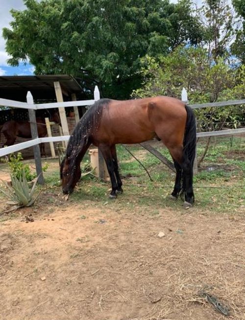 Finca en venta en Rural, Villa del Rosario, 240 m² · foto 4 de 16