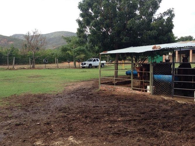 Finca en venta en Rural, Villa del Rosario, 240 m² · foto 10 de 16