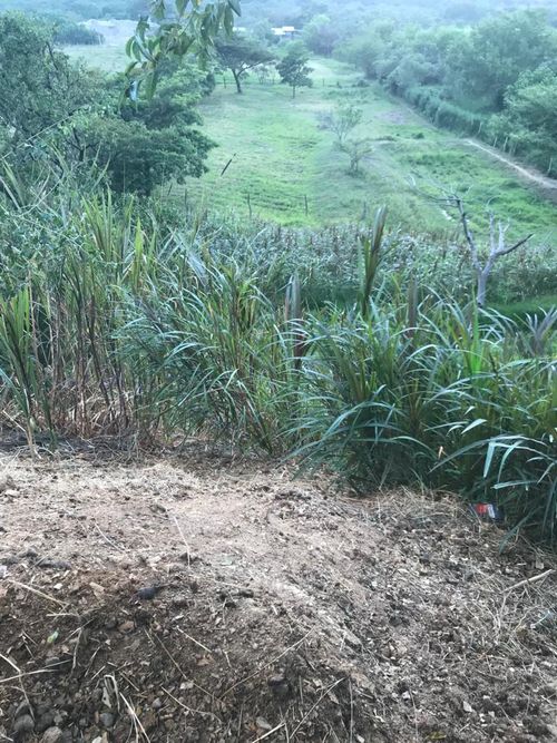 Finca en venta en Rural, Villa del Rosario, 240 m² · foto 11 de 16