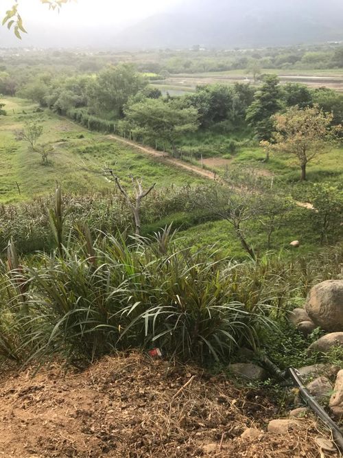 Finca en venta en Rural, Villa del Rosario, 240 m² · foto 15 de 16