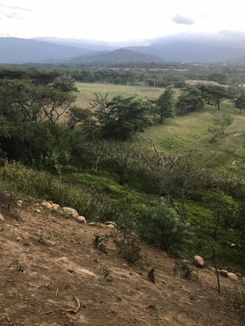 Finca en venta en Rural, Villa del Rosario, 240 m² · foto 16 de 16