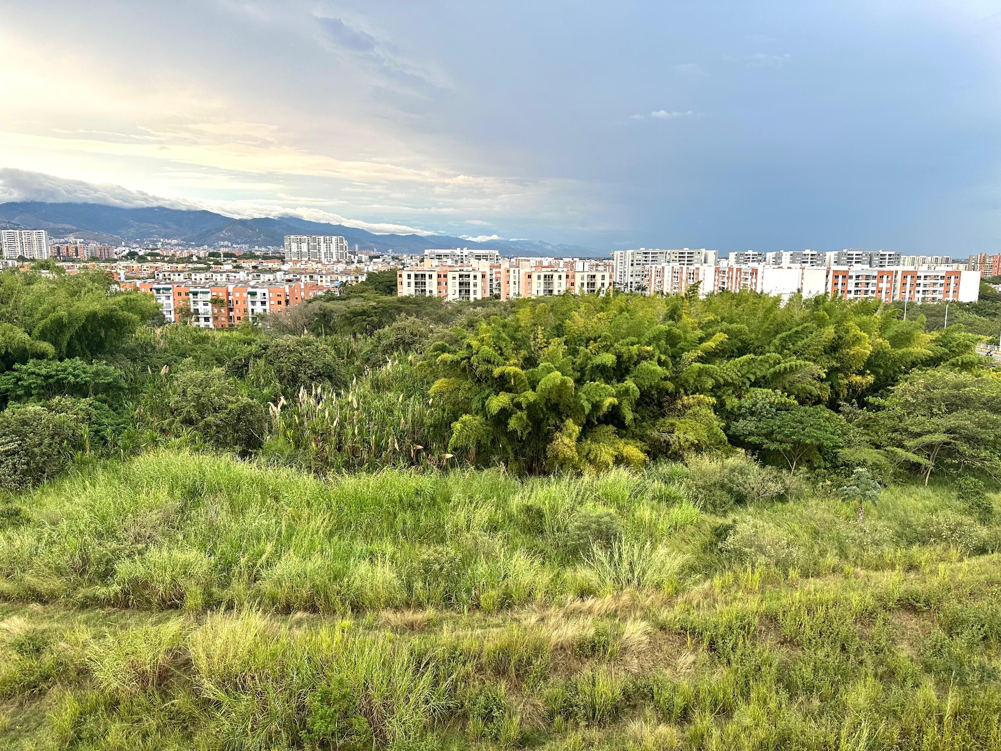 Apartamento en venta en Bochalema, Cali 3