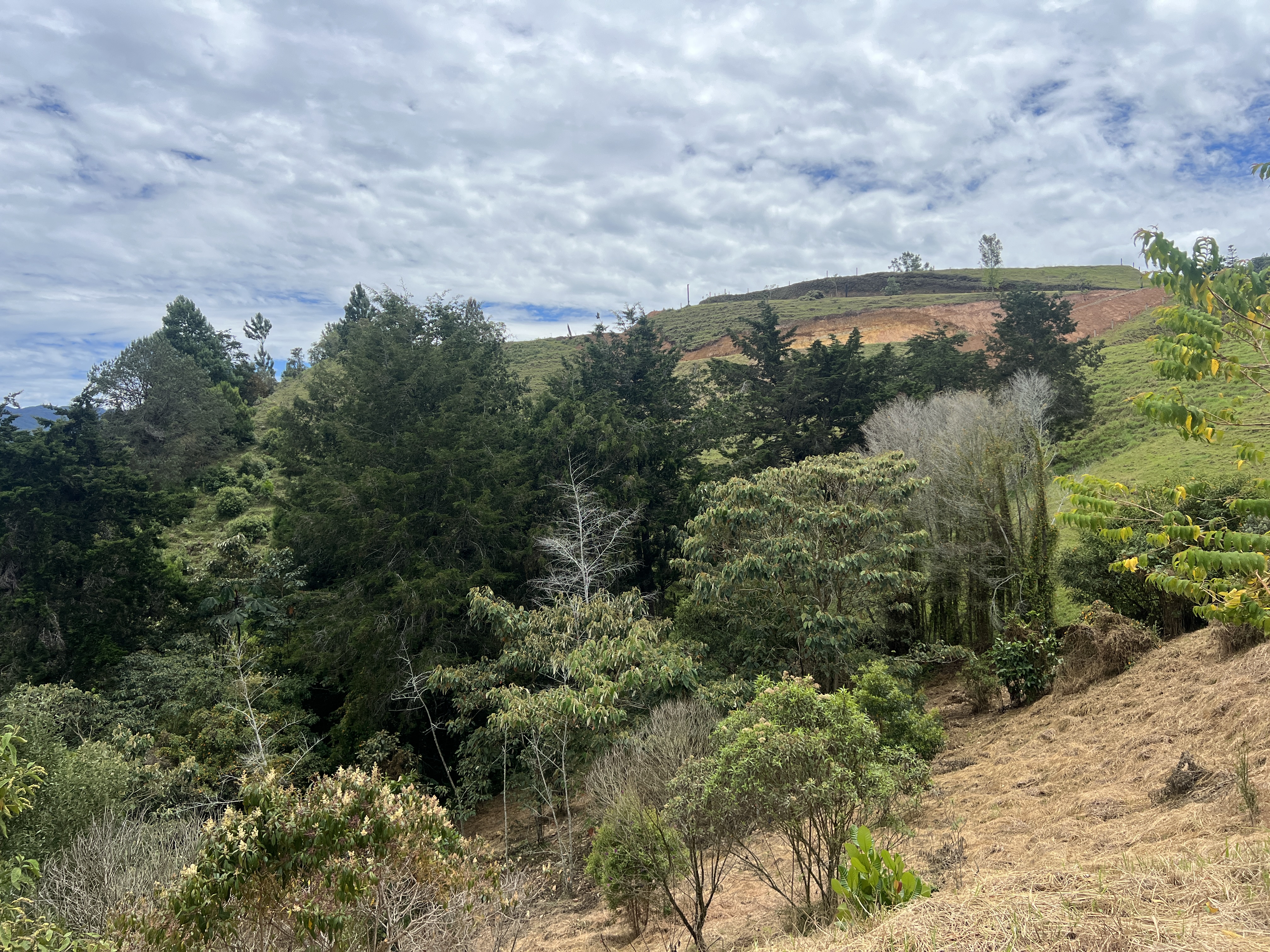 Land in Santa Elena (3900 m²) for Sale - 2