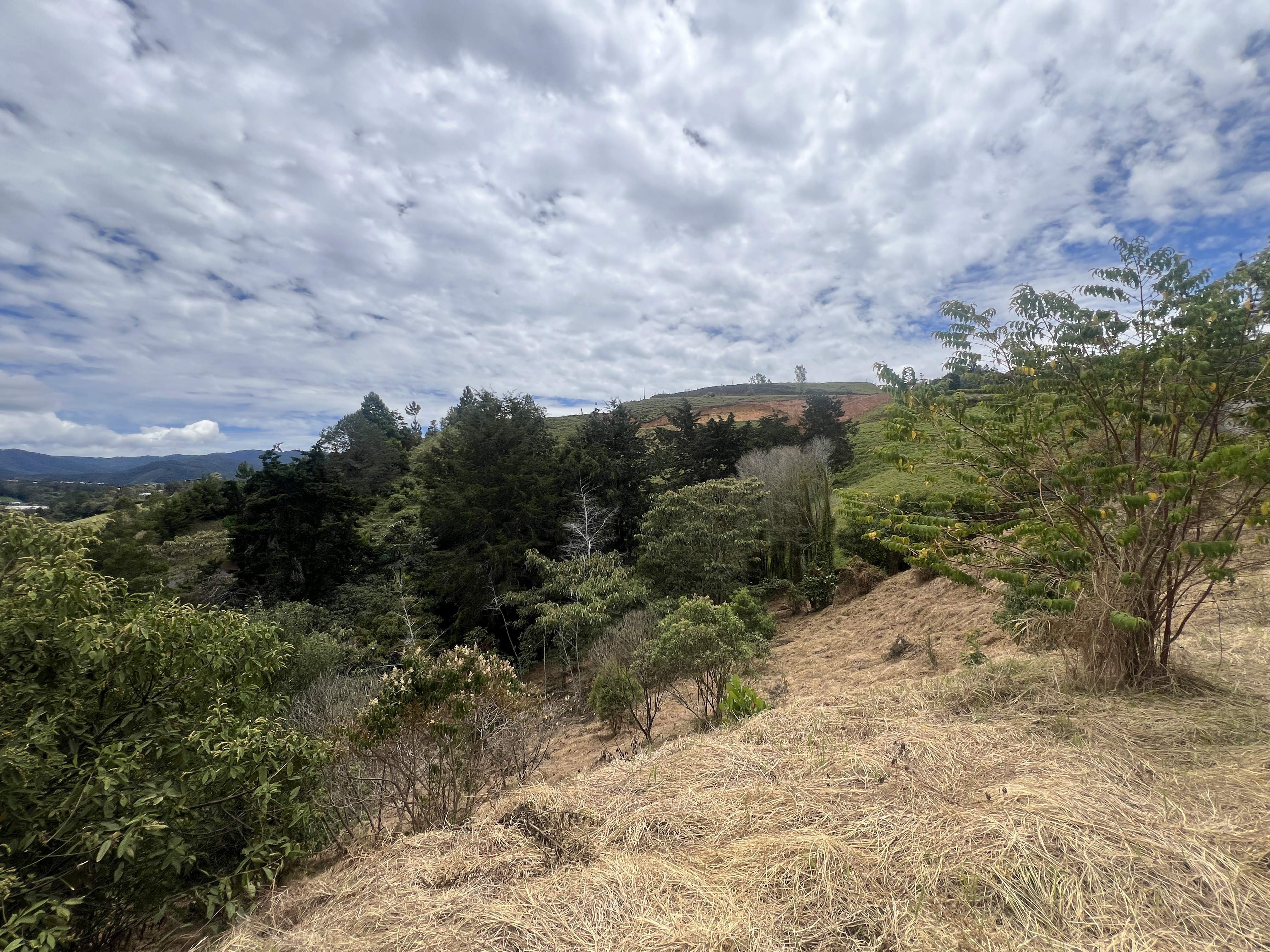 Land in Santa Elena (3900 m²) for Sale - 3