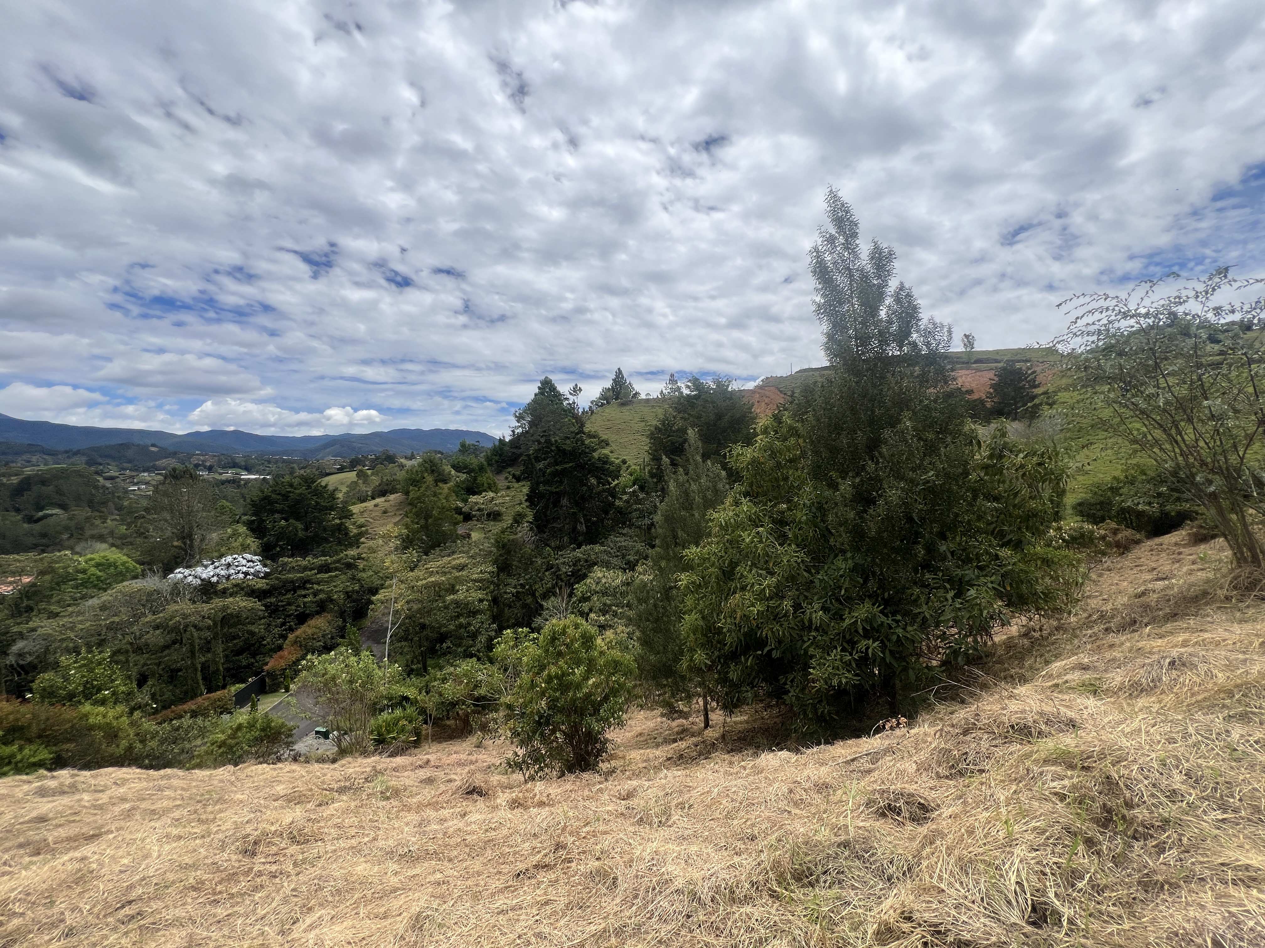 Land in Santa Elena (3900 m²) for Sale - 4
