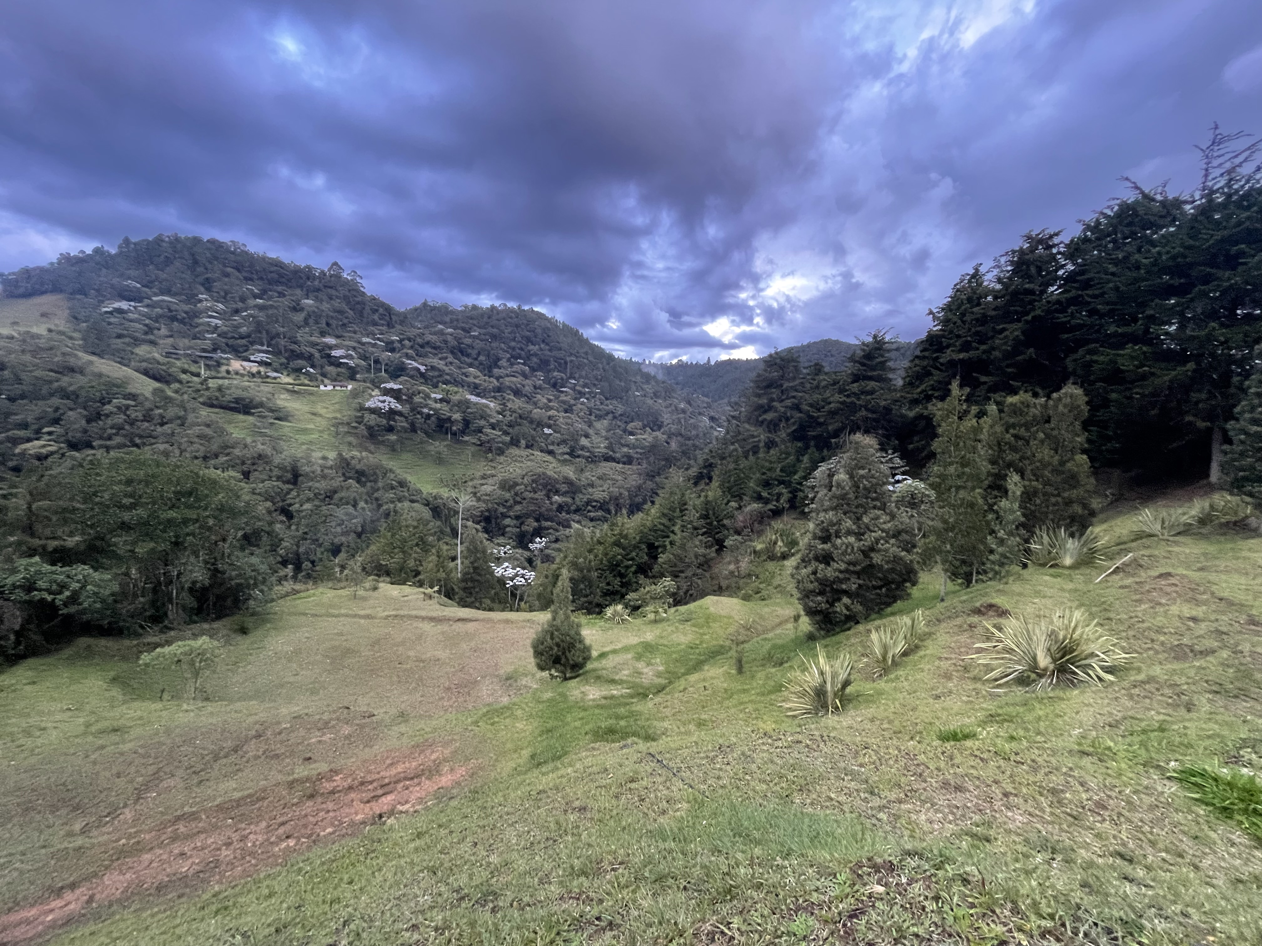 Land in El Portento for Sale