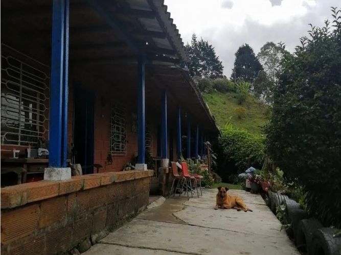 Finca en venta en Toldas, Guarne, 200 m² · foto 3 de 24