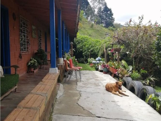 Finca en venta en Toldas, Guarne, 200 m² · foto 5 de 24