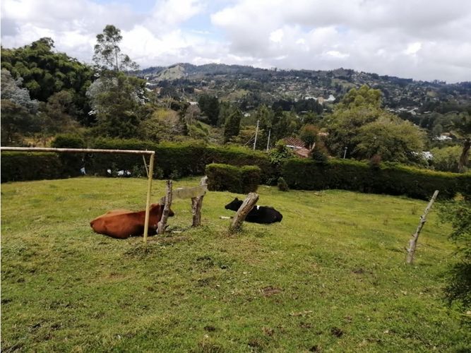 Finca en venta en Toldas, Guarne, 200 m² · foto 10 de 24