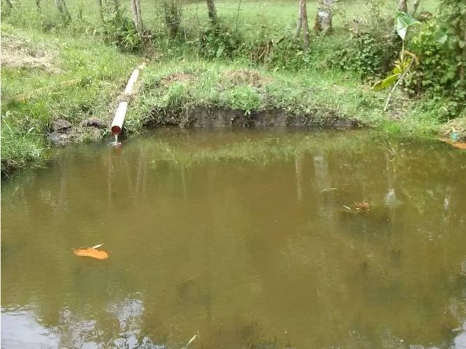 Finca en venta en Toldas, Guarne, 200 m² · foto 17 de 24