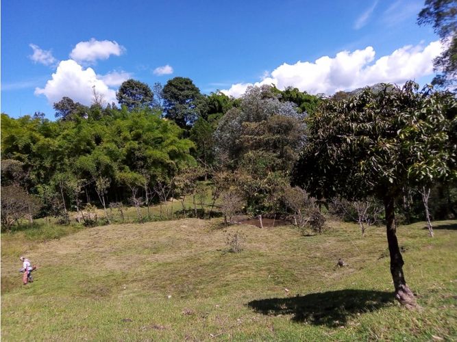 Finca en venta en Toldas, Guarne, 200 m² · foto 19 de 24