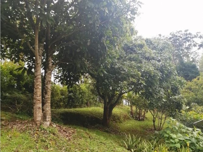 Finca en venta en Toldas, Guarne, 200 m² · foto 22 de 24