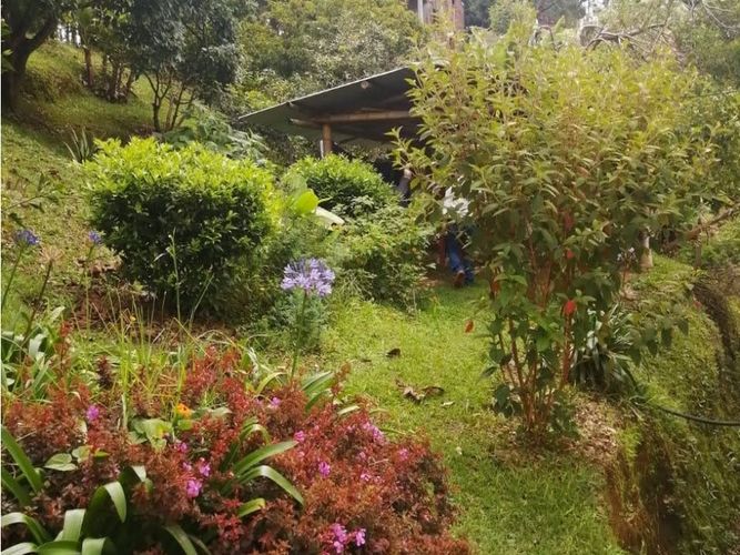 Finca en venta en Toldas, Guarne, 200 m² · foto 24 de 24