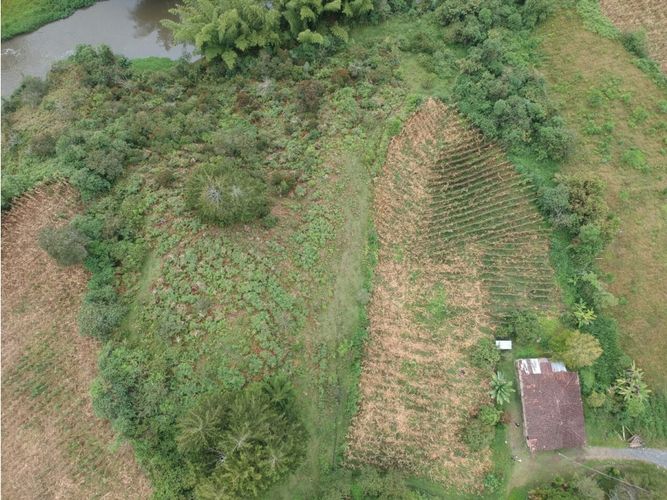 Finca en venta en El Rosario, Marinilla, 17630 m² · foto 4 de 9