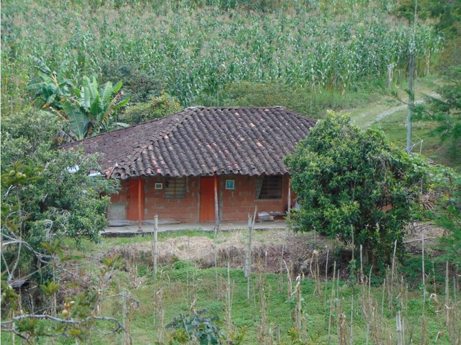 Finca en venta en El Rosario, Marinilla, 17630 m² · foto 8 de 9