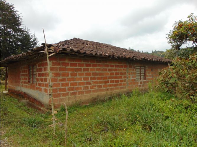 Finca en venta en El Rosario, Marinilla, 17630 m² · foto 9 de 9