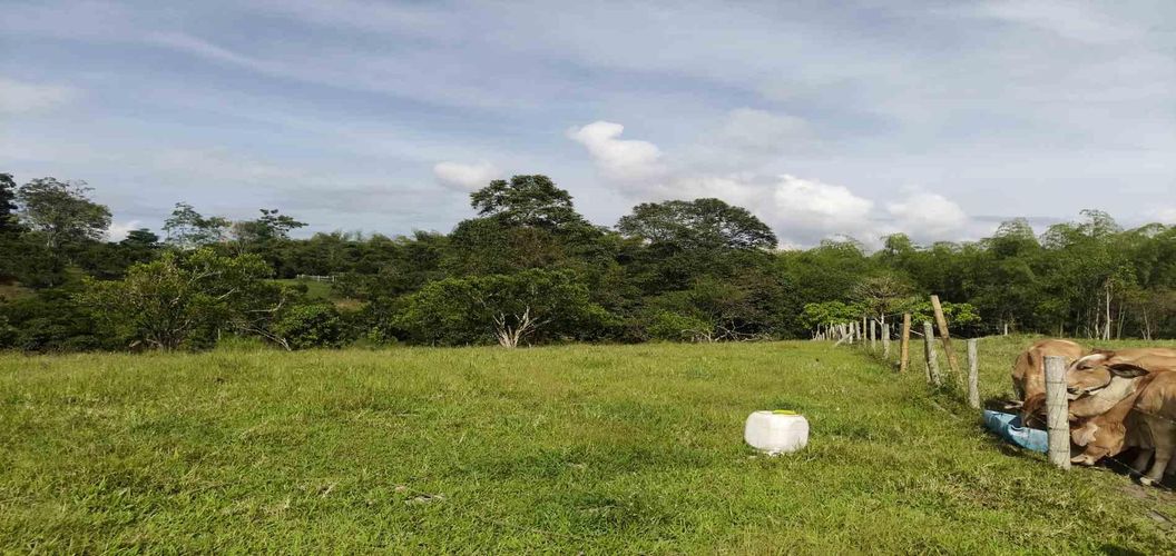 Lote en venta en La Popa, Armenia · foto 3 de 17
