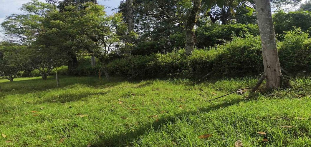 Lote en venta en La Popa, Armenia · foto 4 de 17