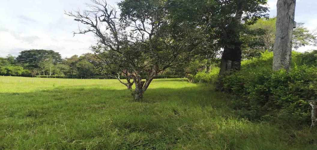 Lote en venta en La Popa, Armenia · foto 5 de 17