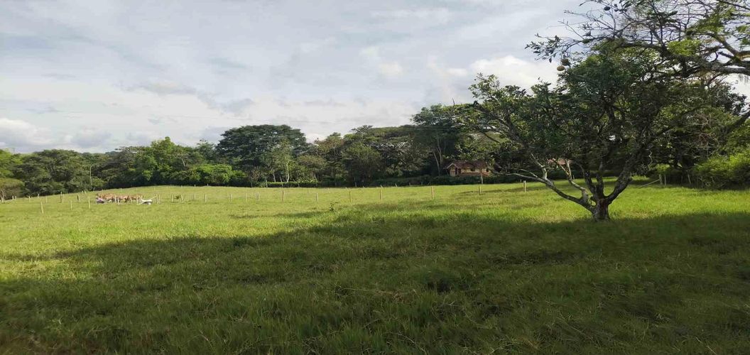 Lote en venta en La Popa, Armenia · foto 6 de 17