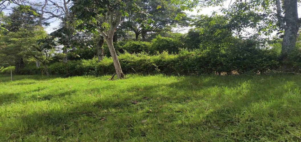 Lote en venta en La Popa, Armenia · foto 12 de 17