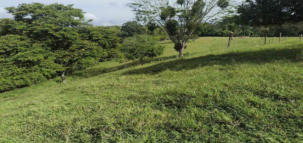 Lote en venta en La Popa, Armenia · foto 16 de 17