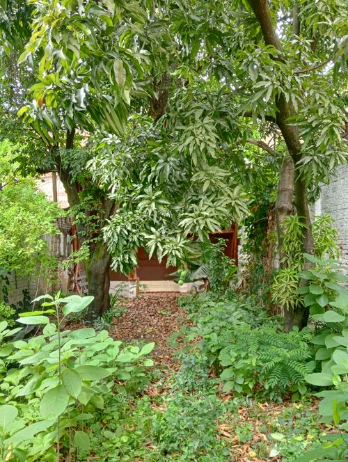 Lote en venta en San Antonio, Cali, 339 m² · foto 11 de 24