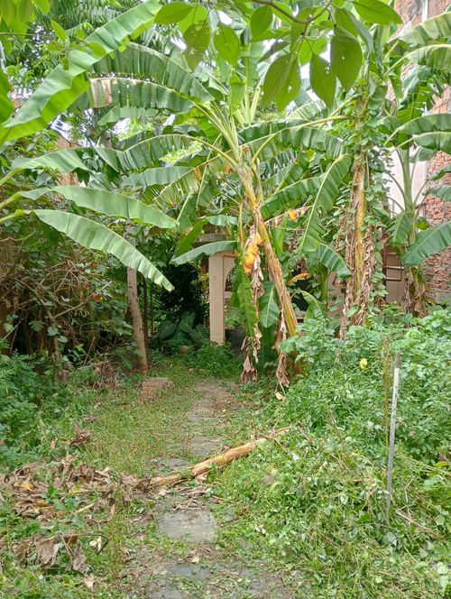 Lote en venta en San Antonio, Cali, 339 m² · foto 17 de 24