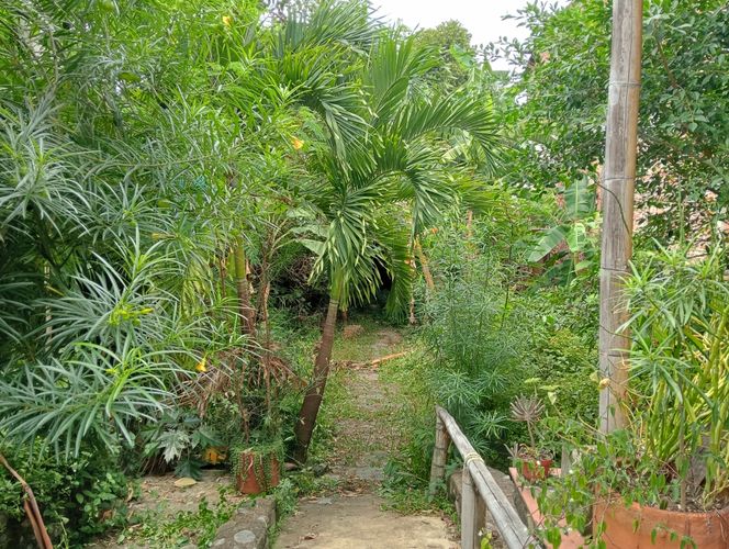 Lote en venta en San Antonio, Cali, 339 m² · foto 18 de 24
