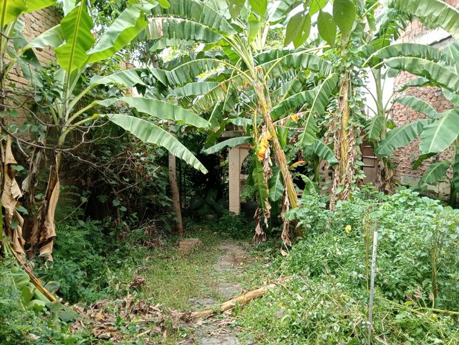 Lote en venta en San Antonio, Cali, 339 m² · foto 20 de 24