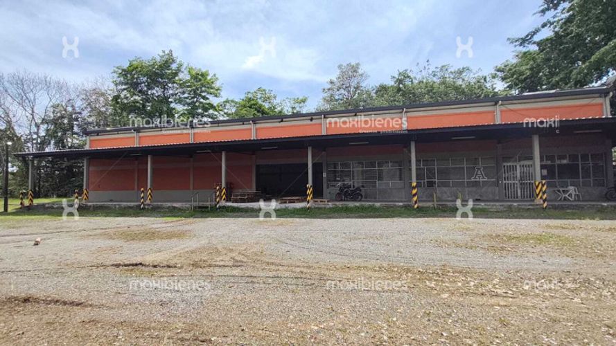 Bodega en arriendo en Vereda Zungo Carretera, Apartado, 4300 m² · foto 10 de 24