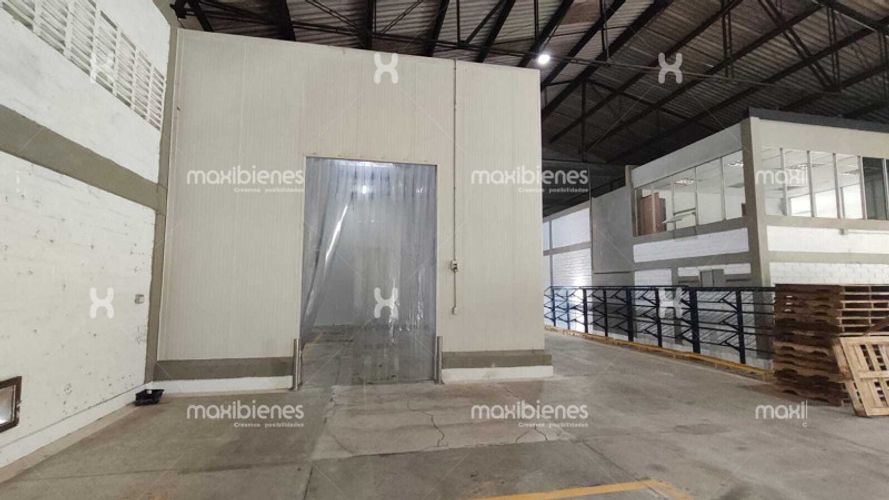 Bodega en arriendo en Vereda Zungo Carretera, Apartado, 4300 m² · foto 11 de 24