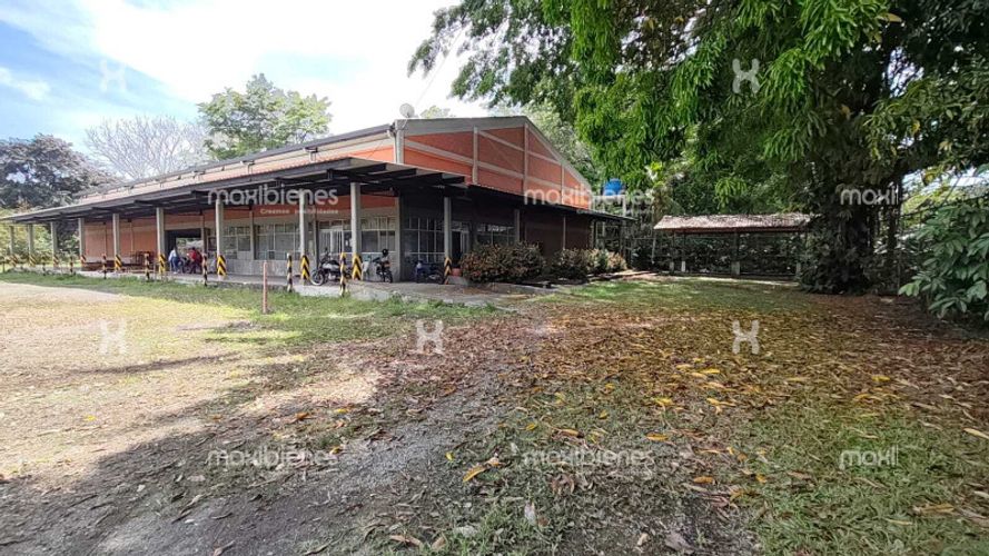 Bodega en arriendo en Vereda Zungo Carretera, Apartado, 4300 m² · foto 18 de 24