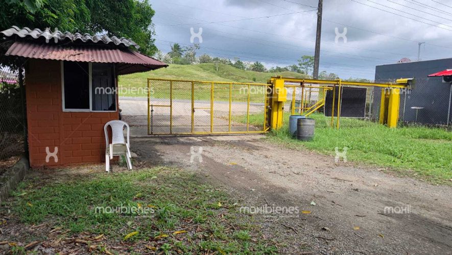 Bodega en arriendo en Vereda Zungo Carretera, Apartado, 4300 m² · foto 22 de 24