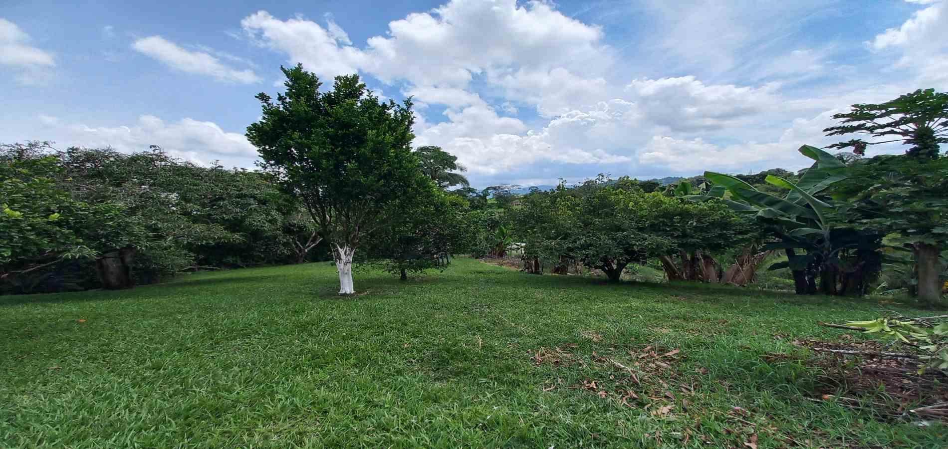 Casa en venta en La Bella, Pereira · foto 12 de 24