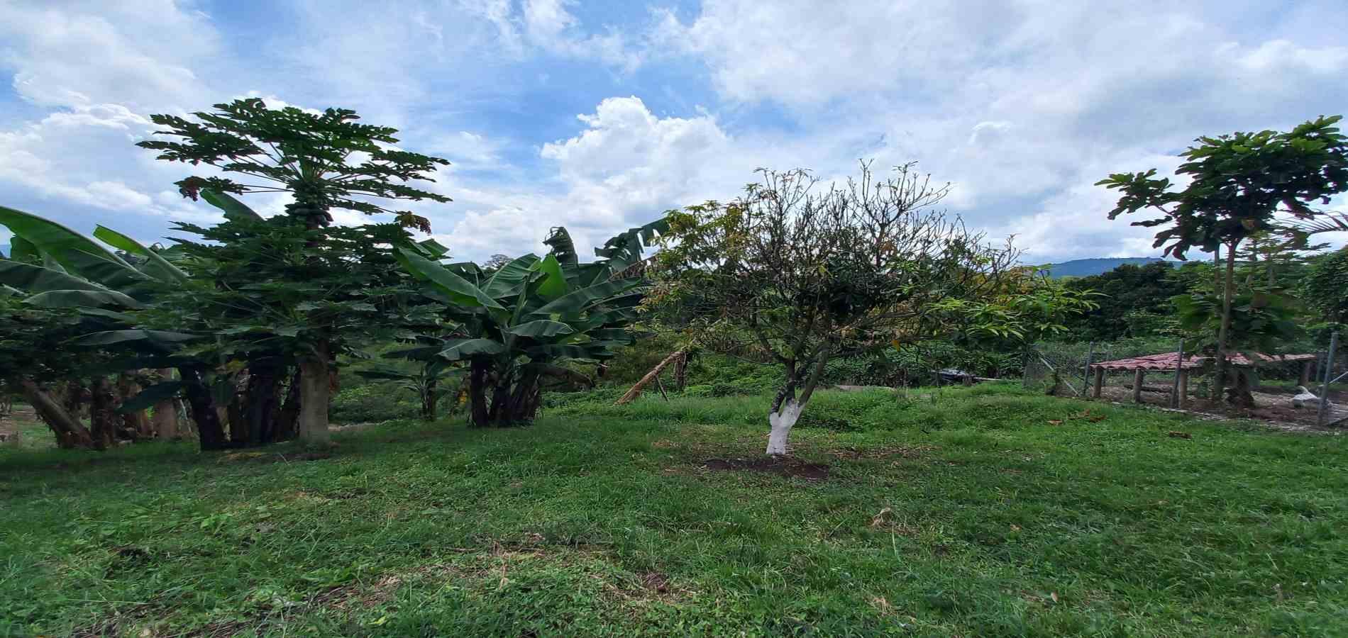 Casa en venta en La Bella, Pereira · foto 13 de 24