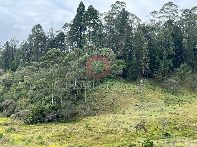 Lote en venta en Centro, Rionegro, 2128 m² · foto 9 de 9